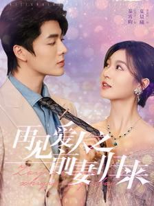 《再见爱人之前妻归来》海报