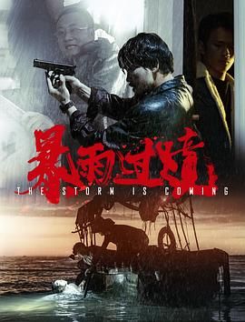 《暴雨过境》海报