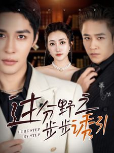 《过分野之步步诱引》海报