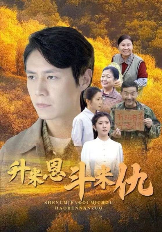 《升米恩斗米仇》海报