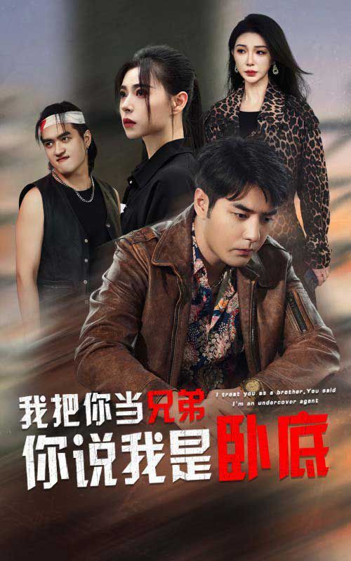 《我把你当兄弟你说我是卧底》海报