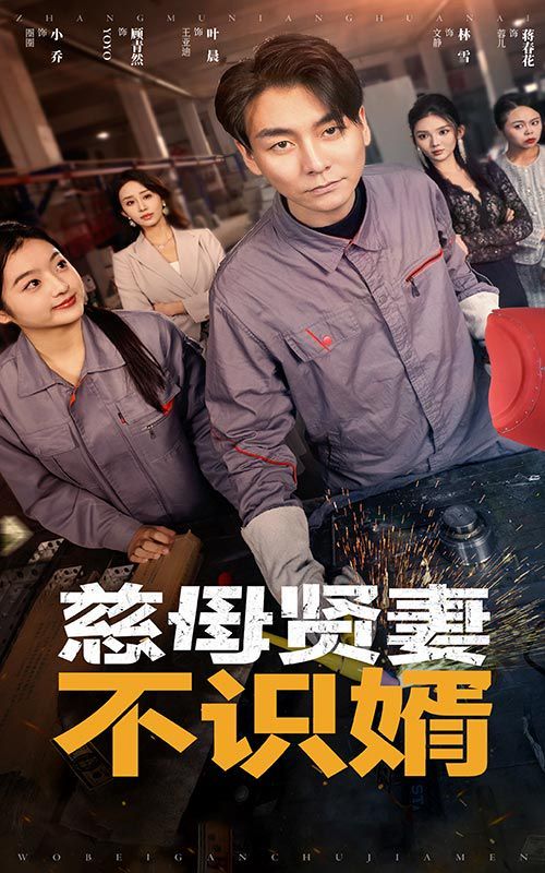 《慈母贤妻不识婿》海报
