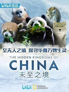 《未至之境 普通话版》海报