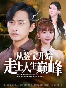 《从鉴宝开始走上人生巅峰》海报