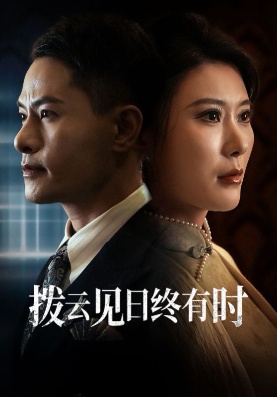 《拨云见日终有时》海报
