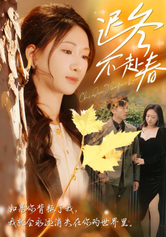 《迟冬不赴春》海报