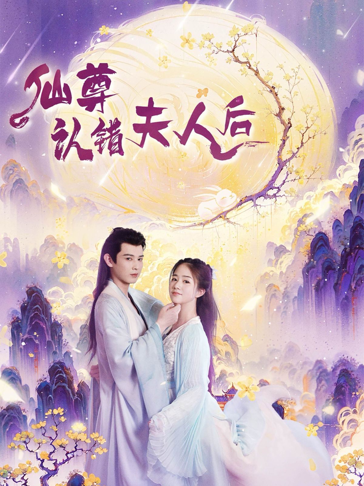 《仙尊认错夫人后》海报