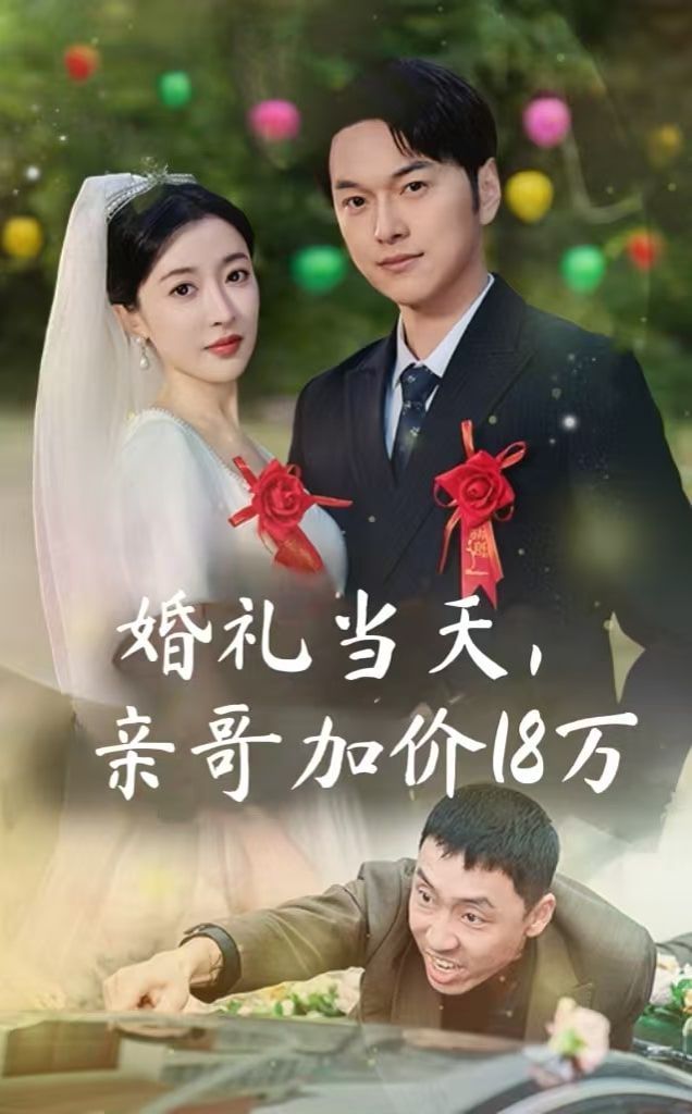 《婚礼当天，亲哥加价18万》海报