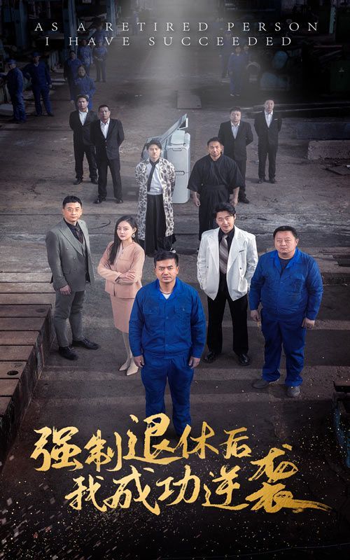《强制退休后，我成功逆袭》海报