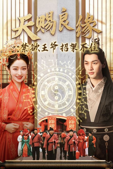 《天赐良缘禁欲王爷招架不住》海报