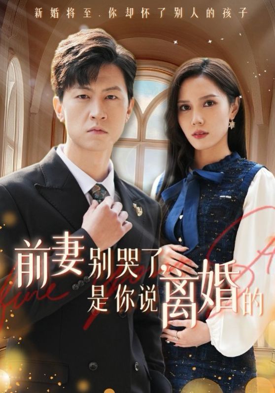 《前妻别哭了是你说离婚的》海报