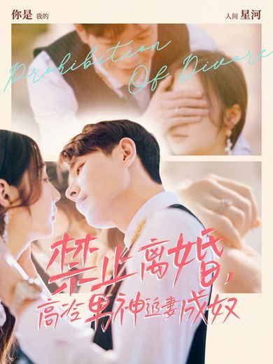 《禁止离婚，高冷男神追妻成奴》海报