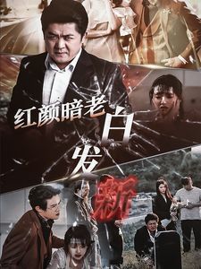 《红颜暗老白发新》海报