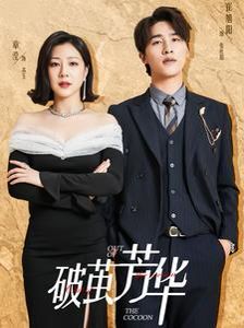 《破茧芳华》海报
