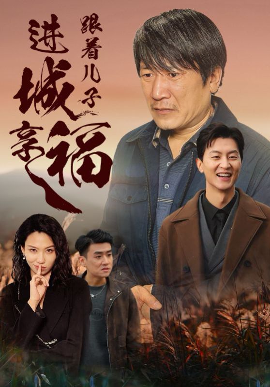 《跟着儿子进城享福》海报