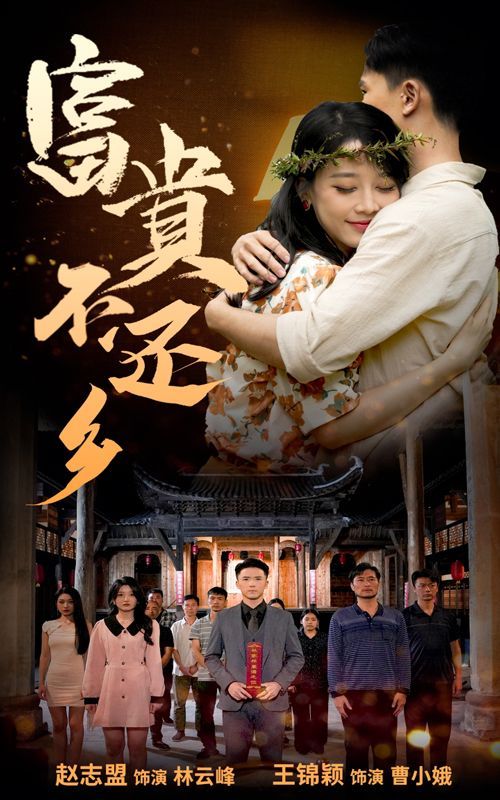 《富贵不还乡》海报