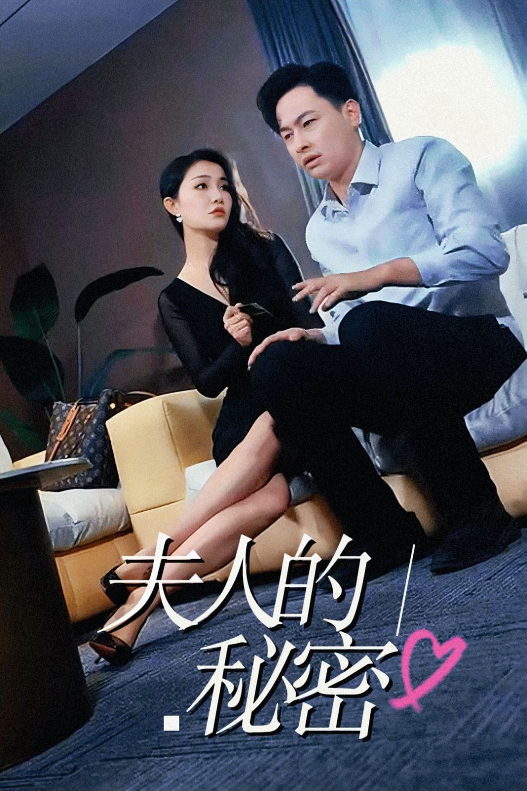 《夫人的秘密》海报