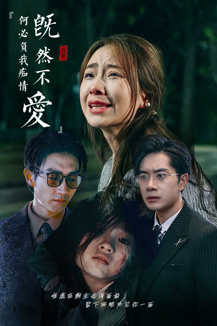 《既然不爱何必负我痴情》海报