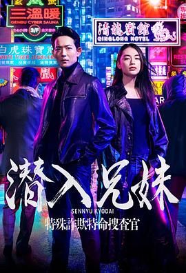 《潜入兄妹 特殊诈欺特命搜查官》海报