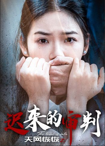 《天网恢恢之迟来的审判》海报