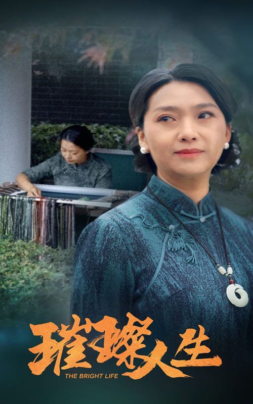 《璀璨人生》海报