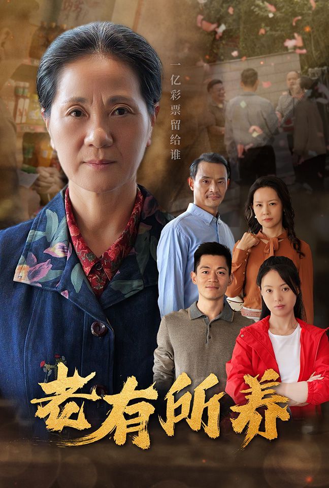 《老有所养》海报