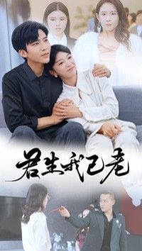 《君生我已老》海报