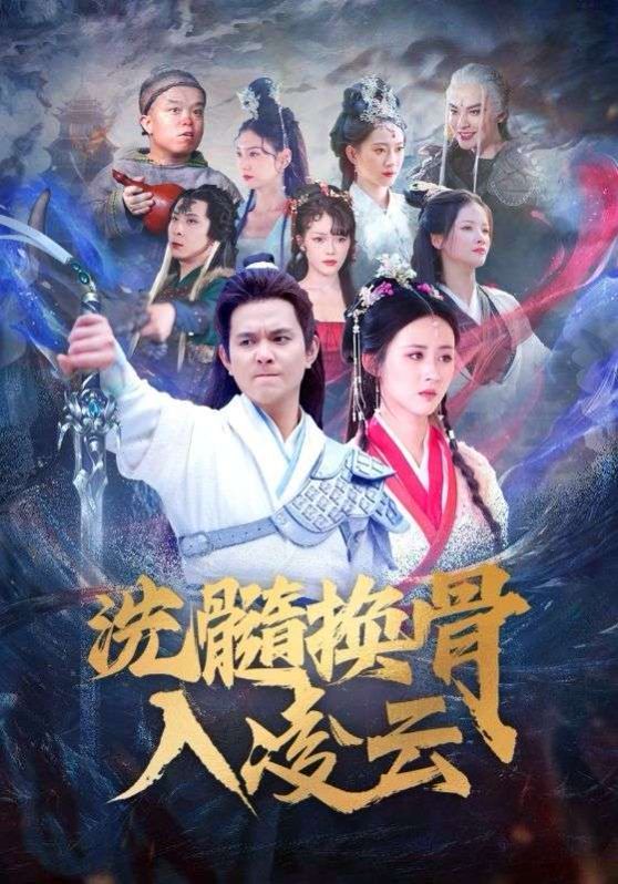 《洗髓换骨入凌云》海报