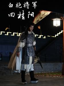 《白袍将军回桂阳》海报