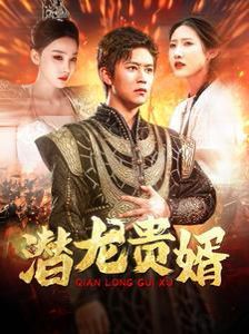 《潜龙贵婿》海报