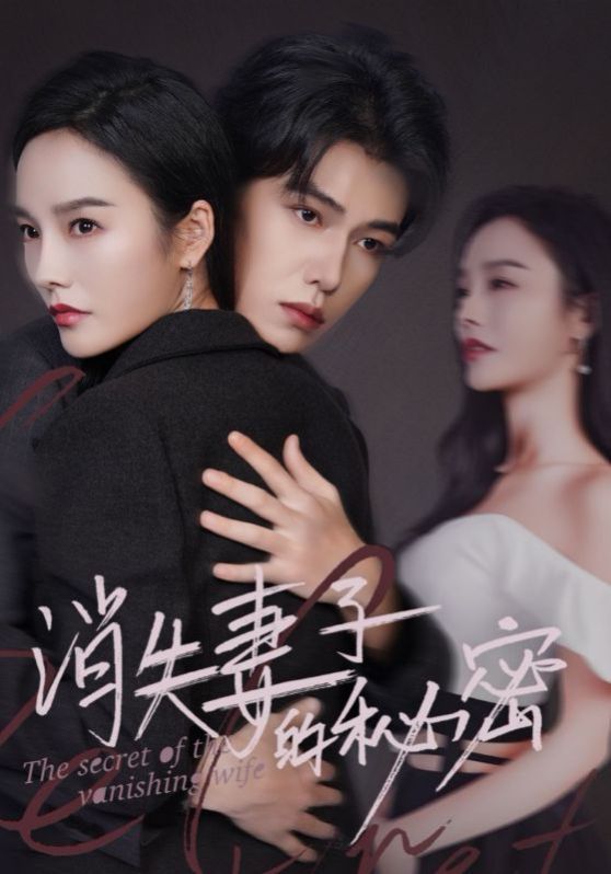 《消失妻子的秘密》海报