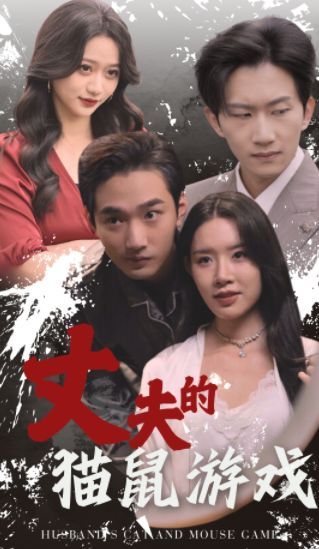 《丈夫的猫鼠游戏》海报