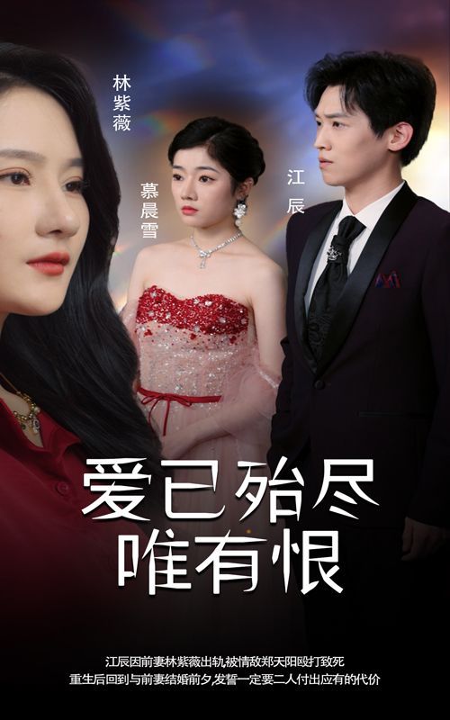 《爱已殆尽唯有恨》海报