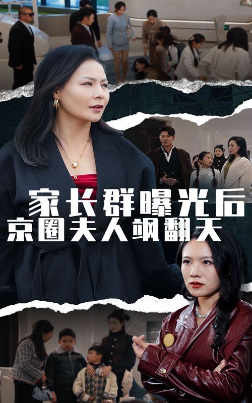 《家长群曝光后京圈夫人飒翻天》海报