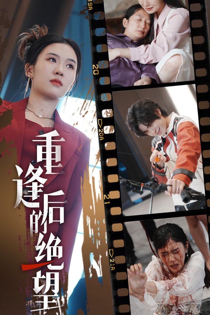 《重逢后的绝望》海报