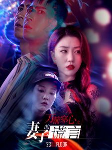 《万箭穿心之妻子的谎言》海报