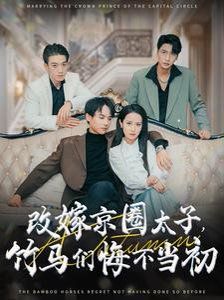 《改嫁京圈太子竹马们悔不当初》海报