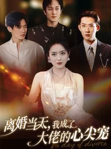 《离婚当天我成了大佬的心尖宠》海报