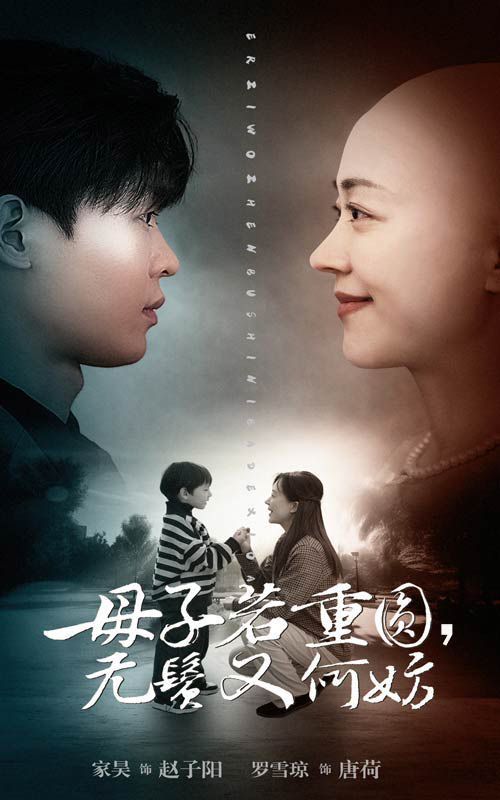 《母子若重圆无鬓又何妨》海报