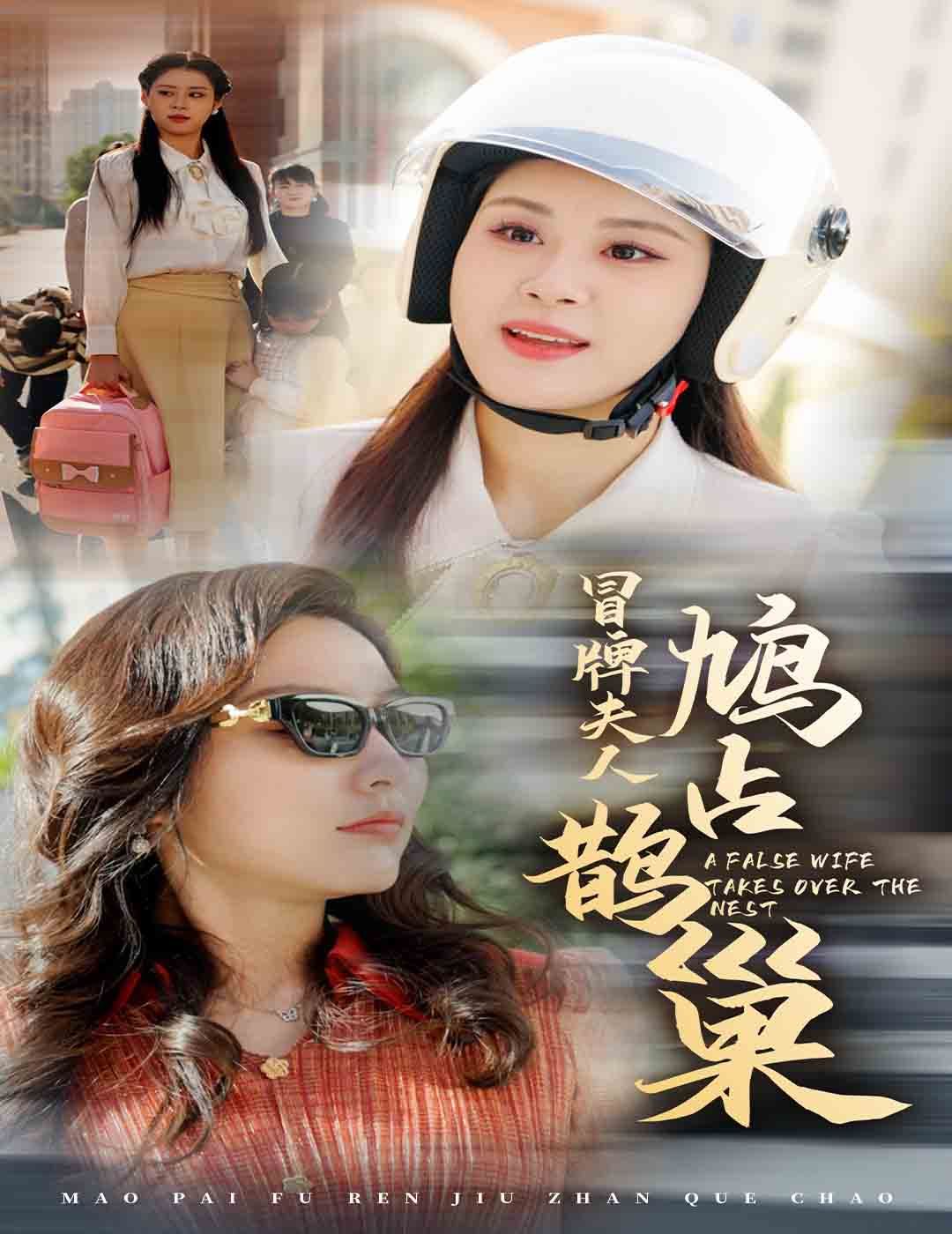 《冒牌夫人鸠占鹊巢（鱼目岂能混珠）》海报