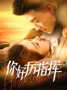 《你好厉指挥》海报
