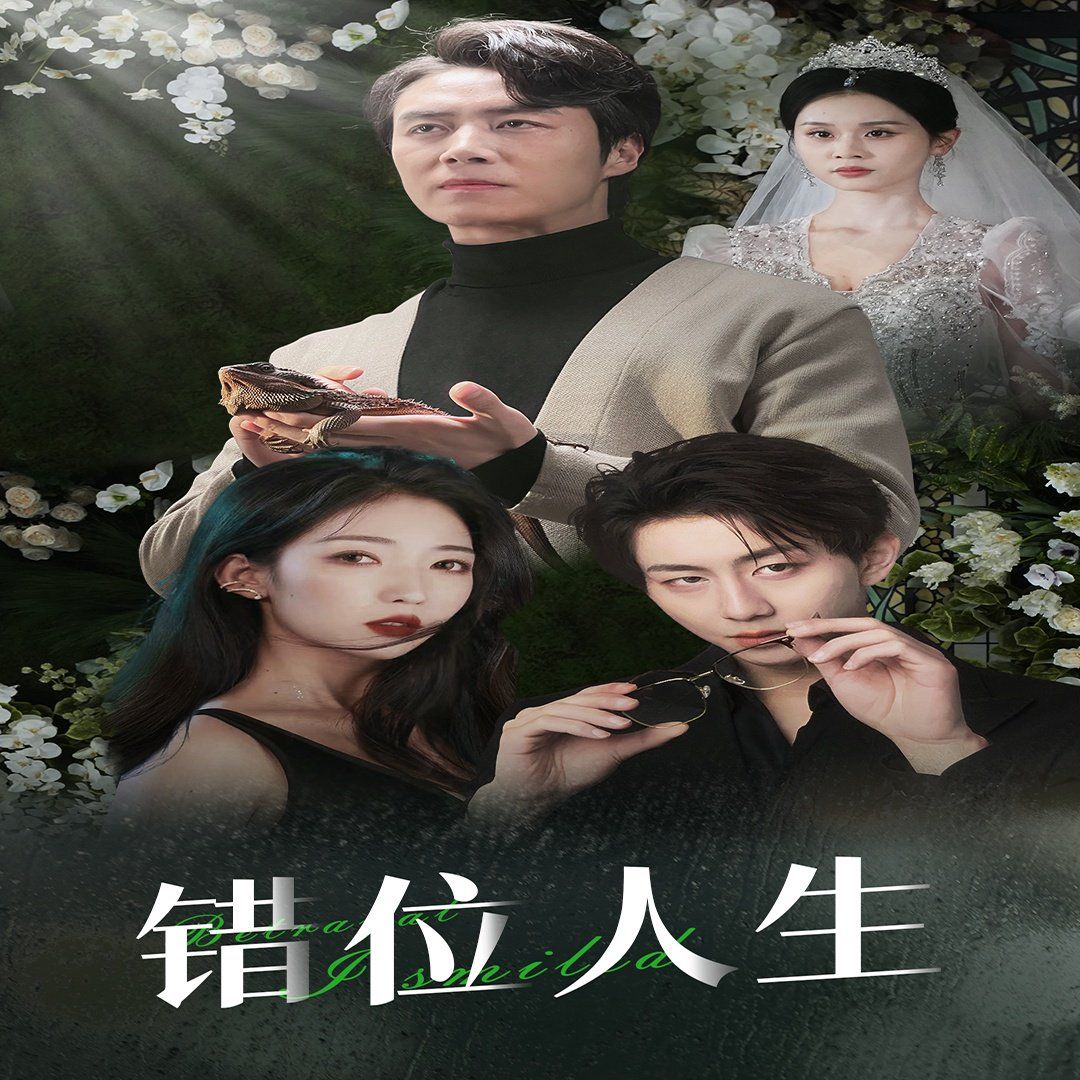 《错位人生（养大他人的儿子后我笑了）》海报