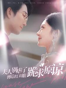 《夫人别虐了傅总红着眼跪求原谅》海报