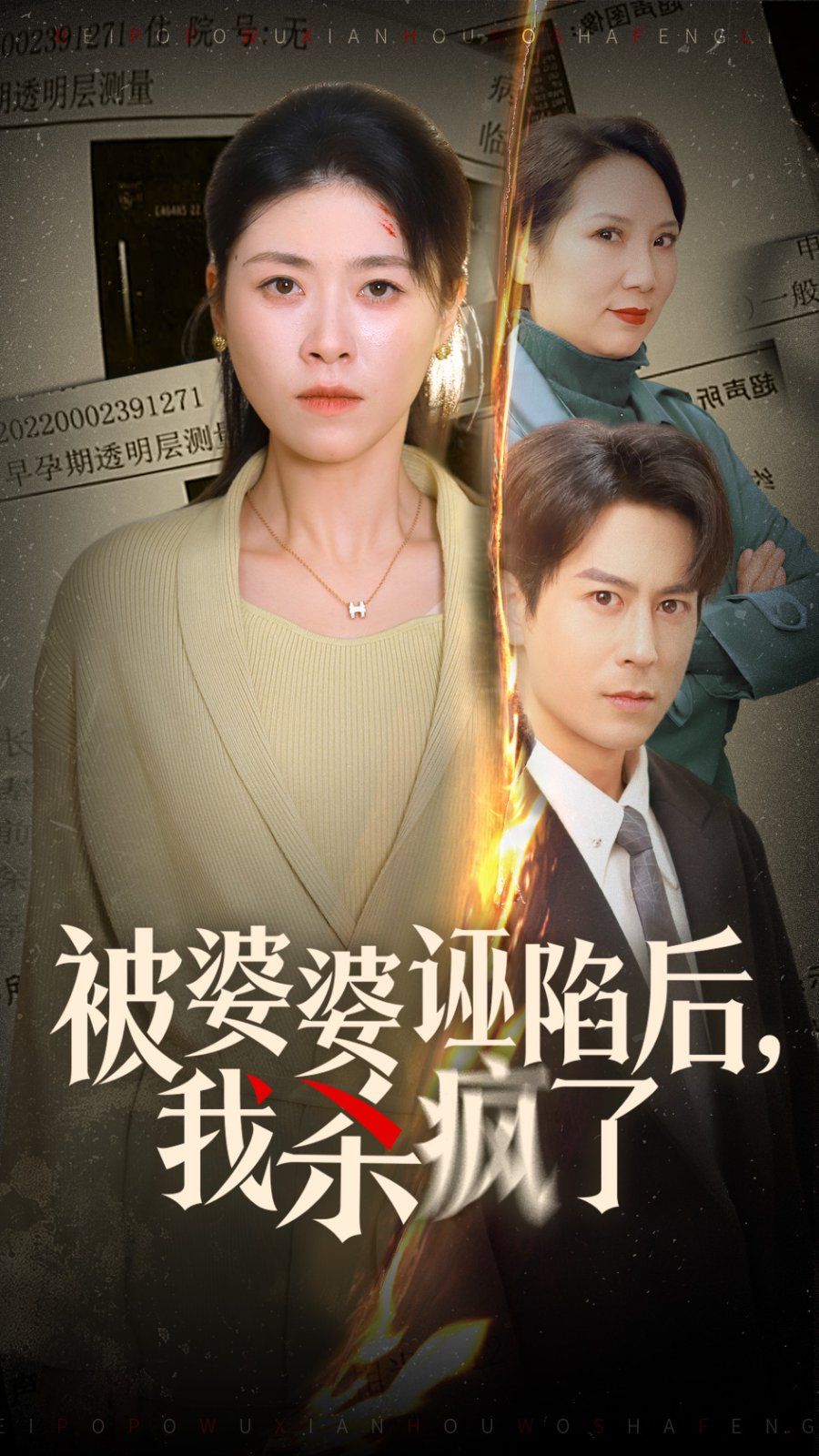 《被婆婆诬陷后我杀疯了》海报