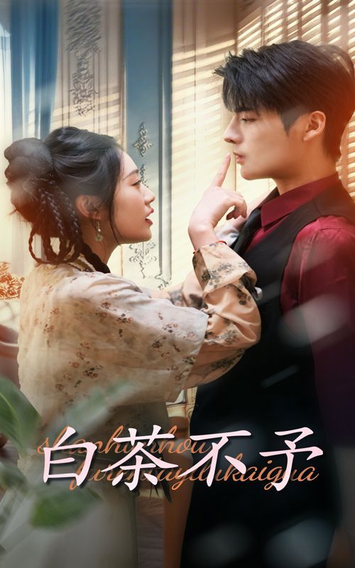 《白茶不予》海报