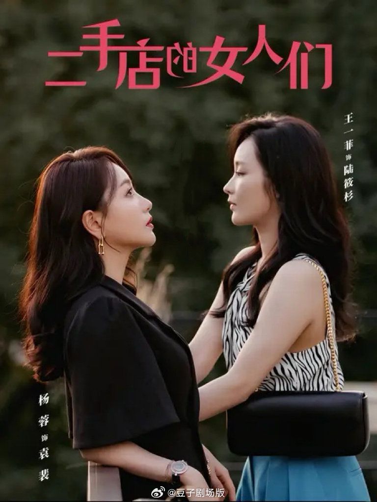 《二手店的女人们（二十九）》海报