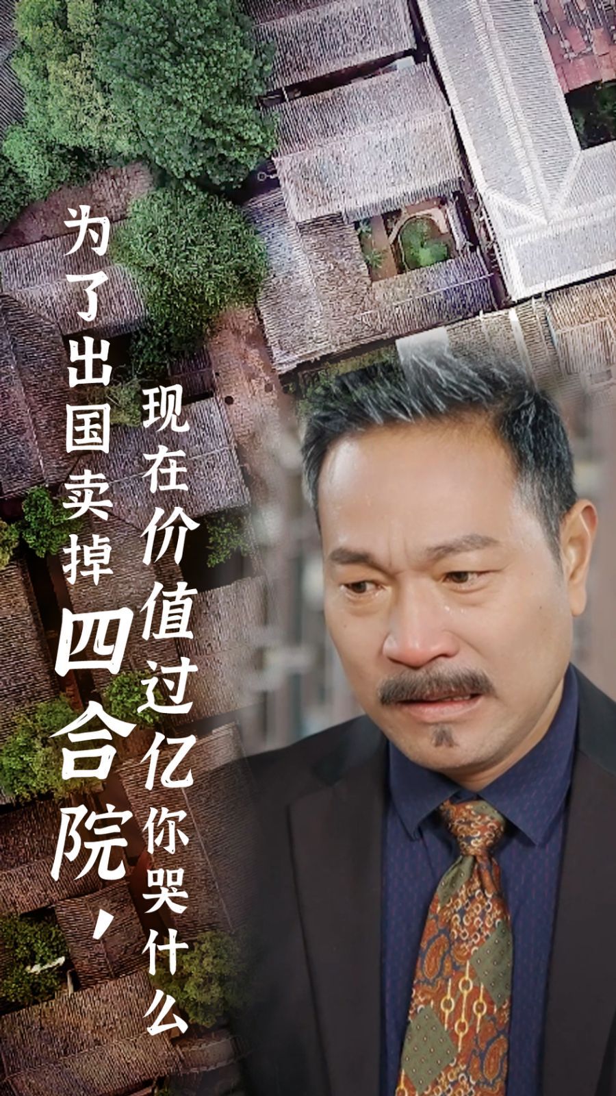 《为了出国卖掉四合院现在价值过亿你哭什么》海报