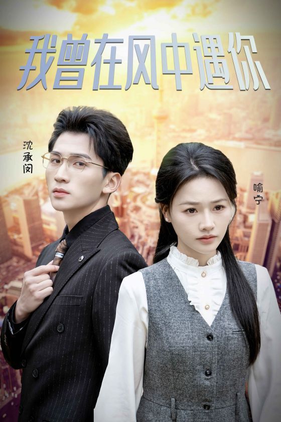 《我曾在风中遇你》海报
