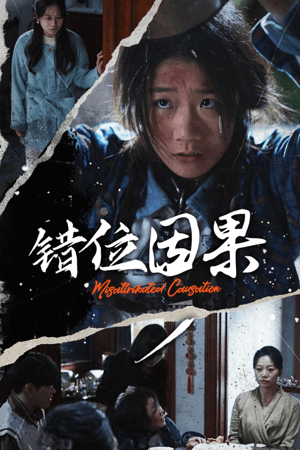 《错位因果》海报