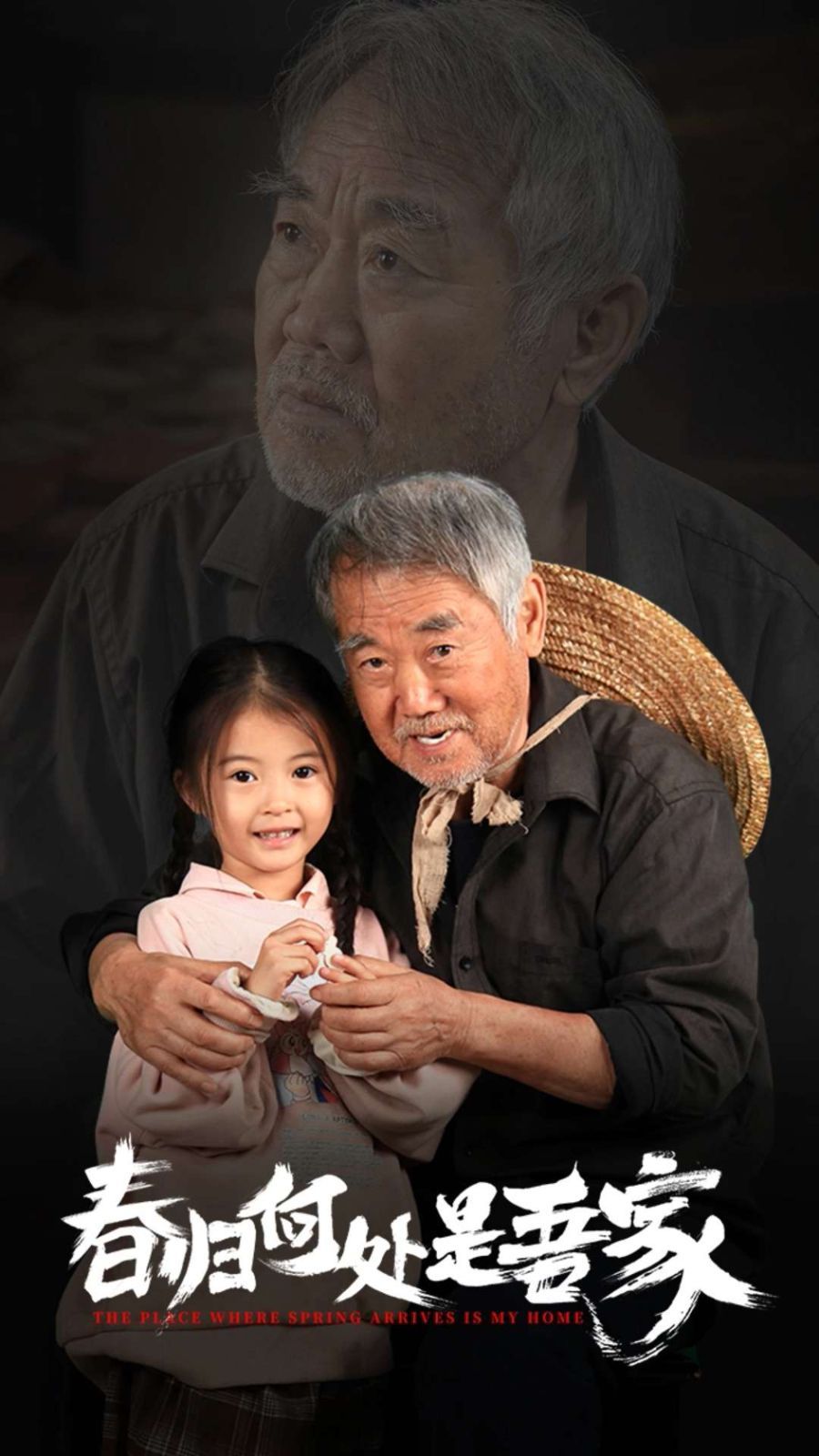 《春归何处是吾家》海报